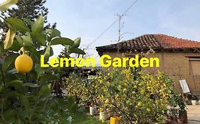 Lemon Garden