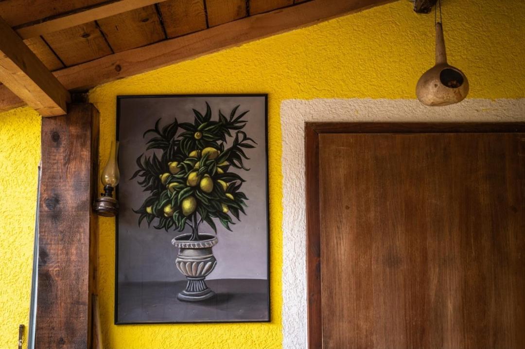 Lemon Garden Vandrehjem Naselba Dracevo Eksteriør billede